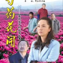 儿童节目怎样用故事化方式传播科学知识